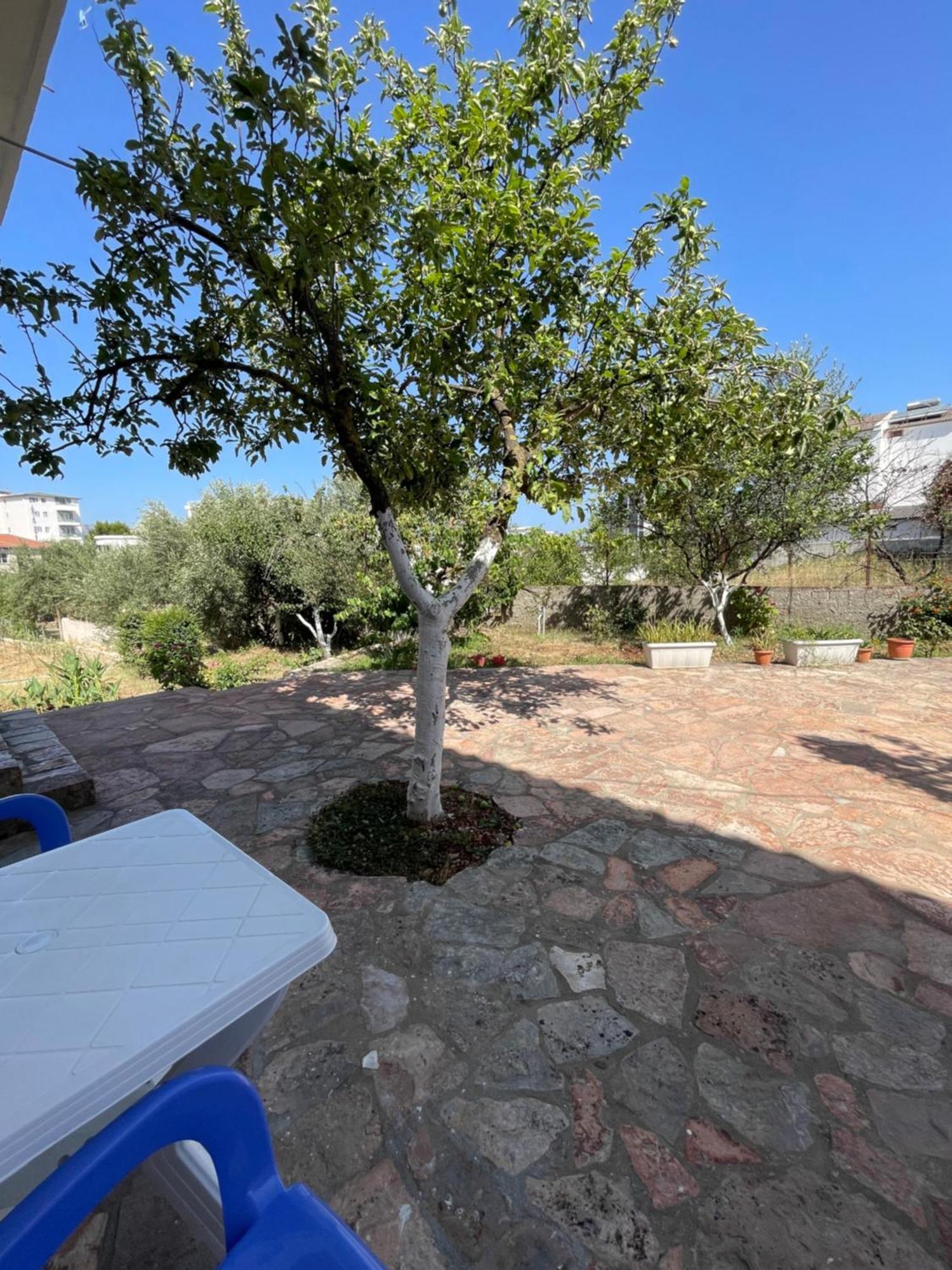 Guesthouse Dollomaja كساميل المظهر الخارجي الصورة